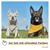 PiuPet® Bandanas pour Chiens I Lot de 2 I Jaune/Gris I Accessoires Chien PiuPet® Bandanas pour Chiens I Lot de 2 I Jaune/Gris I Accessoires Chien