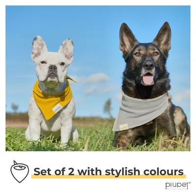 PiuPet® Bandanas pour Chiens I Lot de 2 I Jaune/Gris I Accessoires Chien
