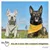 PiuPet® Bandanas pour Chiens I Lot de 2 I Jaune/Gris I Accessoires Chien