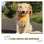PiuPet® Bandanas pour Chiens I Lot de 2 I Jaune/Gris I Accessoires Chien
