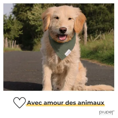 PiuPet® Bandanas pour Chiens I Lot de 2 I Noir/Vert I Accessoires Chiens