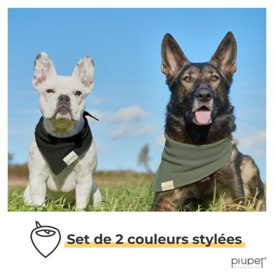 PiuPet® Bandanas pour Chiens I Lot de 2 I Noir/Vert I Accessoires Chiens