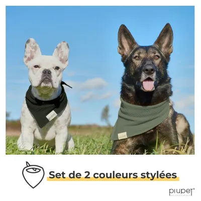 PiuPet® Bandanas pour Chiens I Lot de 2 I Noir/Vert I Accessoires Chiens
