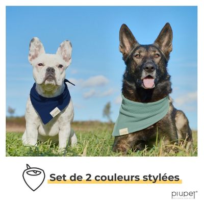 PiuPet® Bandanas pour Chiens – Lot de 2 Bleu/Turquoise | Accessoires