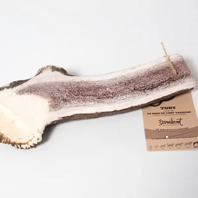 Evident Bois de Cerf Tranché