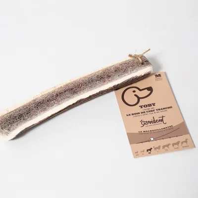 Evident Bois de Cerf Tranché