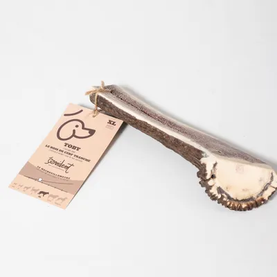 Evident Bois de Cerf Tranché