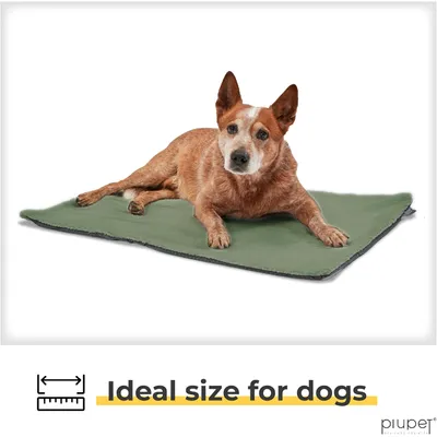 PiuPet® Panier Chauffant Chien I 90x60cm I Sans Électricité I Tapis Blanc