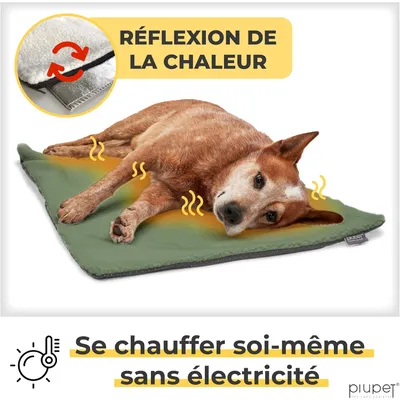PiuPet® Panier Chauffant Chien I 90x60cm I Sans Électricité I Tapis Blanc