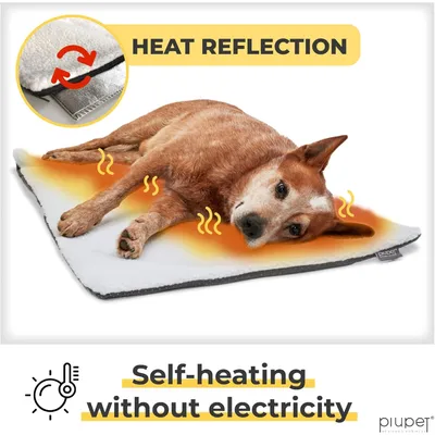 PiuPet® Panier Chauffant Chien I 90x60cm I Sans Électricité I Tapis Blanc PiuPet® Panier Chauffant Chien I 90x60cm I Sans Électricité I Tapis Blanc