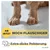 PiuPet® Selbstheizende Hundedecke I 90x60cm I Heizdecke ohne Strom PiuPet® Selbstheizende Hundedecke I 90x60cm I Heizdecke ohne Strom