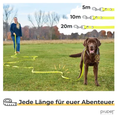 PiuPet® Longe pour Chien I 5m/10m/20m I Laisse Hydrofuge Jaune Fluo