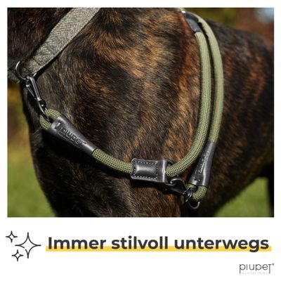 PiuPet® Hundeleine 2m I 3-Fach längenverstellbar I Snap-In Effekt