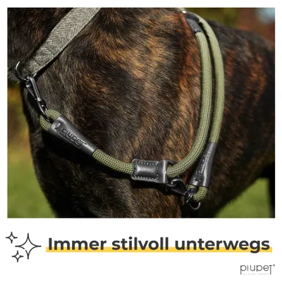 PiuPet® Hundeleine 2m I 3-Fach längenverstellbar I Snap-In Effekt PiuPet® Hundeleine 2m I 3-Fach längenverstellbar I Snap-In Effekt