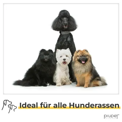 PiuPet® Hundeleine 2m I 3-Fach längenverstellbar I Snap-In Effekt PiuPet® Hundeleine 2m I 3-Fach längenverstellbar I Snap-In Effekt