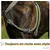 PiuPet® Laisse Chien 2m I Réglable I Pour Petits et Grands Chiens I Vert