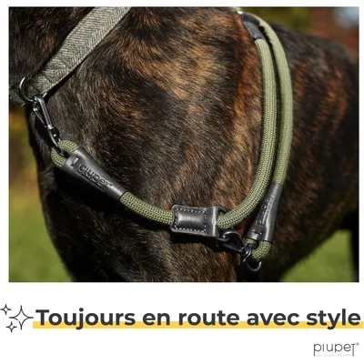 PiuPet® Laisse Chien 2m I Réglable I Pour Petits et Grands Chiens I Vert