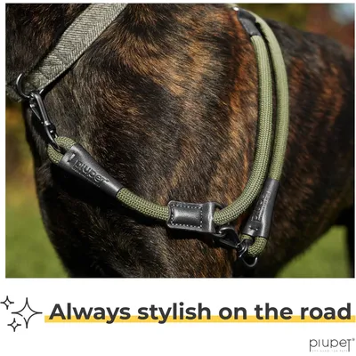 PiuPet® Laisse Chien 2m I Réglable I Pour Petits et Grands Chiens I Vert