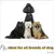 PiuPet® Laisse Chien 2m I Réglable I Pour Petits et Grands Chiens I Vert