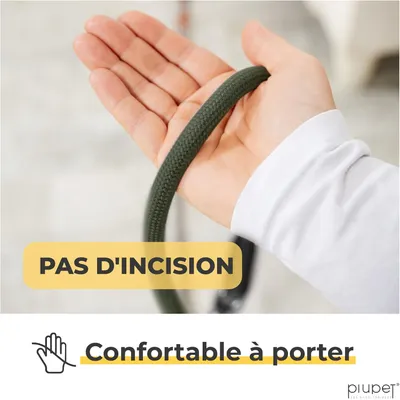 PiuPet® Laisse Chien 2m I Réglable I Pour Petits et Grands Chiens I Vert