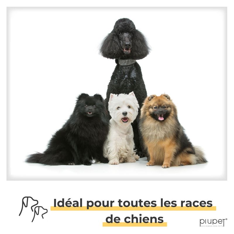 PiuPet® Laisse Chien 2m I Réglable I Pour Petits et Grands Chiens I Beige