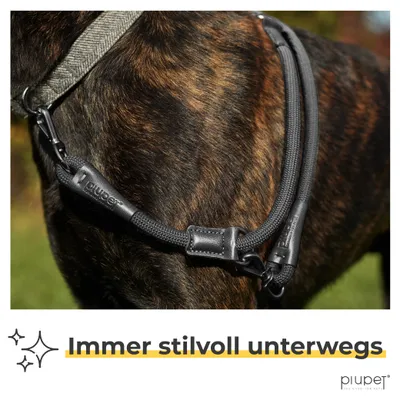 PiuPet® Hundeleine 2m I 3-Fach längenverstellbar I Snap-In Effekt PiuPet® Hundeleine 2m I 3-Fach längenverstellbar I Snap-In Effekt