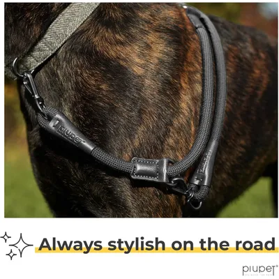 PiuPet® Laisse Chien 2m I Réglable I Pour Petits et Grands Chiens I Noir