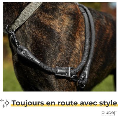 PiuPet® Laisse Chien 2m I Réglable I Pour Petits et Grands Chiens I Noir