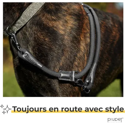 PiuPet® Laisse Chien 2m I Réglable I Pour Petits et Grands Chiens I Noir