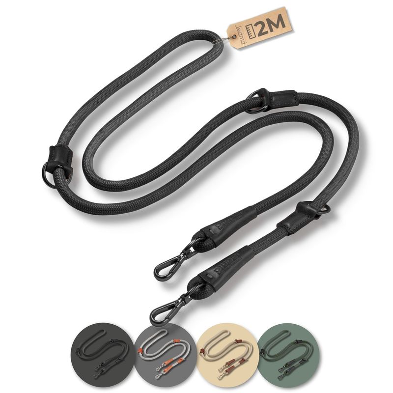 PiuPet® Laisse Chien 2m I Réglable I Pour Petits et Grands Chiens I Beige