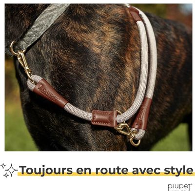 PiuPet® Laisse Chien 2m I Réglable I Pour Petits et Grands Chiens I Beige