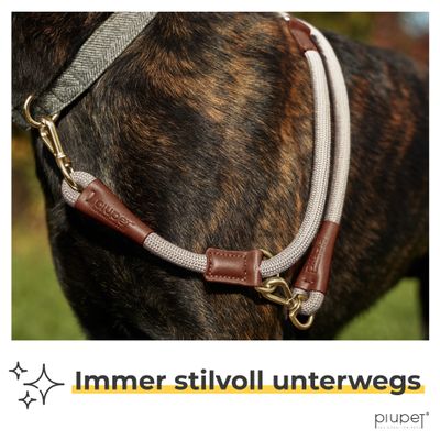 PiuPet® Hundeleine 2m I 3-Fach längenverstellbar I Snap-In Effekt