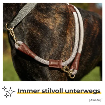 PiuPet® Hundeleine 2m I 3-Fach längenverstellbar I Snap-In Effekt