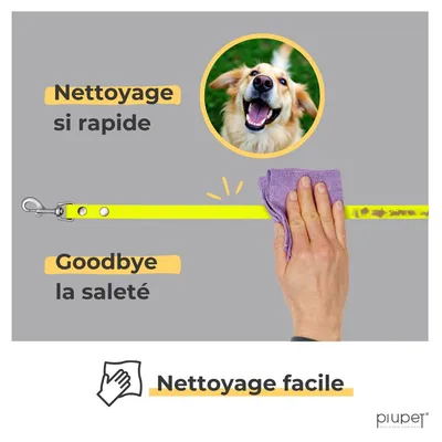 PiuPet® Longe pour Chien I 5m/10m/20m I Laisse Hydrofuge Jaune Fluo