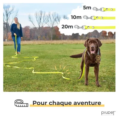 PiuPet® Longe pour Chien I 5m/10m/20m I Laisse Hydrofuge Jaune Fluo