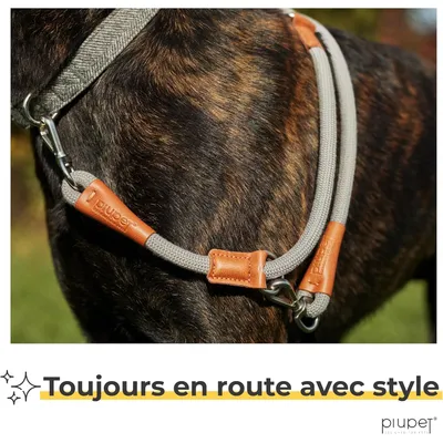 PiuPet® Laisse Chien 2m I Réglable I Pour Petits et Grands Chiens I Gris