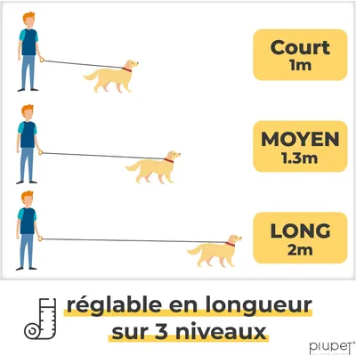 PiuPet® Laisse Chien 2m I Réglable I Pour Petits et Grands Chiens I Gris