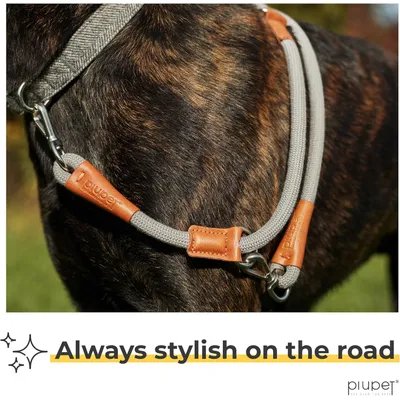 PiuPet® Laisse Chien 2m I Réglable I Pour Petits et Grands Chiens I Gris