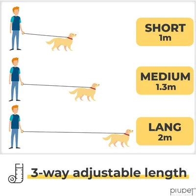 PiuPet® Laisse Chien 2m I Réglable I Pour Petits et Grands Chiens I Gris