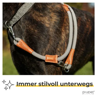 PiuPet® Hundeleine 2m I 3-Fach längenverstellbar I Snap-In Effekt PiuPet® Hundeleine 2m I 3-Fach längenverstellbar I Snap-In Effekt