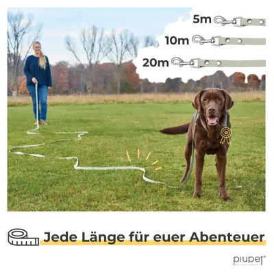 PiuPet® Longe pour Chien I 5m/10m/20m I Laisse Remorquage Gris