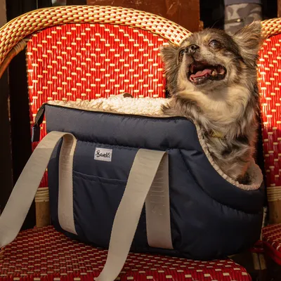 French Bandit - Sac pour chien, motif uni