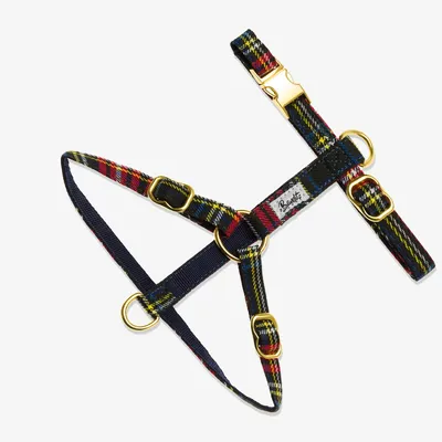 French Bandit - Le harnais pour chat tartan