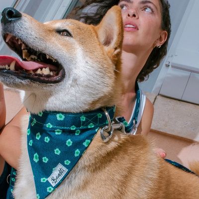 French Bandit - Bandana pour chien denim bleu brut à fleurs