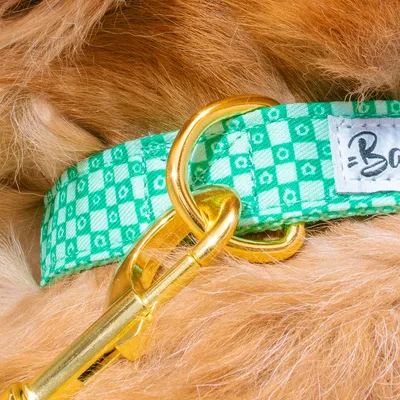 French Bandit - Collier pour chien imprimé à carreaux vert orné de fleurs