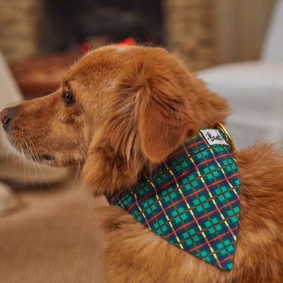 French Bandit - Bandana pour chien, collection 'Grand Froid'