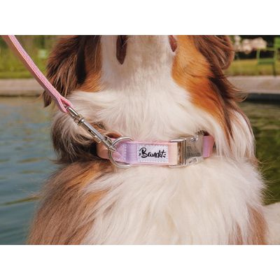 French Bandit - Collier pour chien motif dégradé