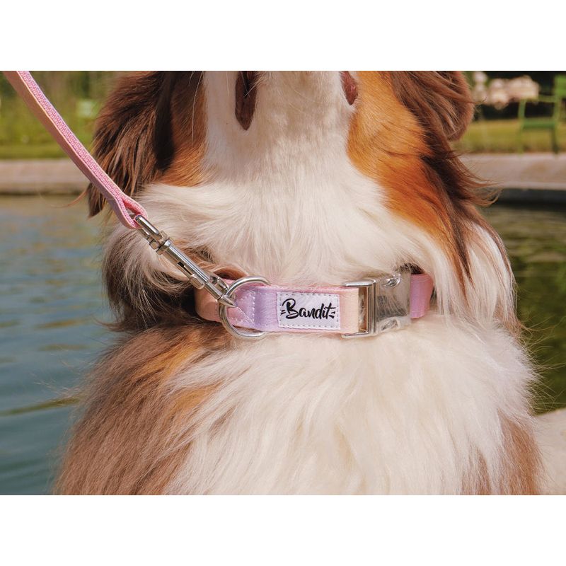 French Bandit - Collier pour chien motif dégradé