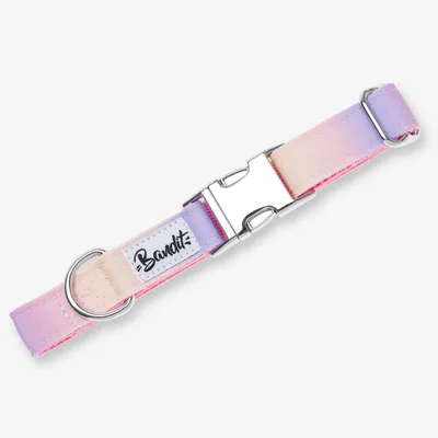 French Bandit - Collier pour chien motif dégradé