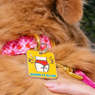 Collier pour chien imprimé à carreaux roses et coeurs rouges Sans laisse Sa